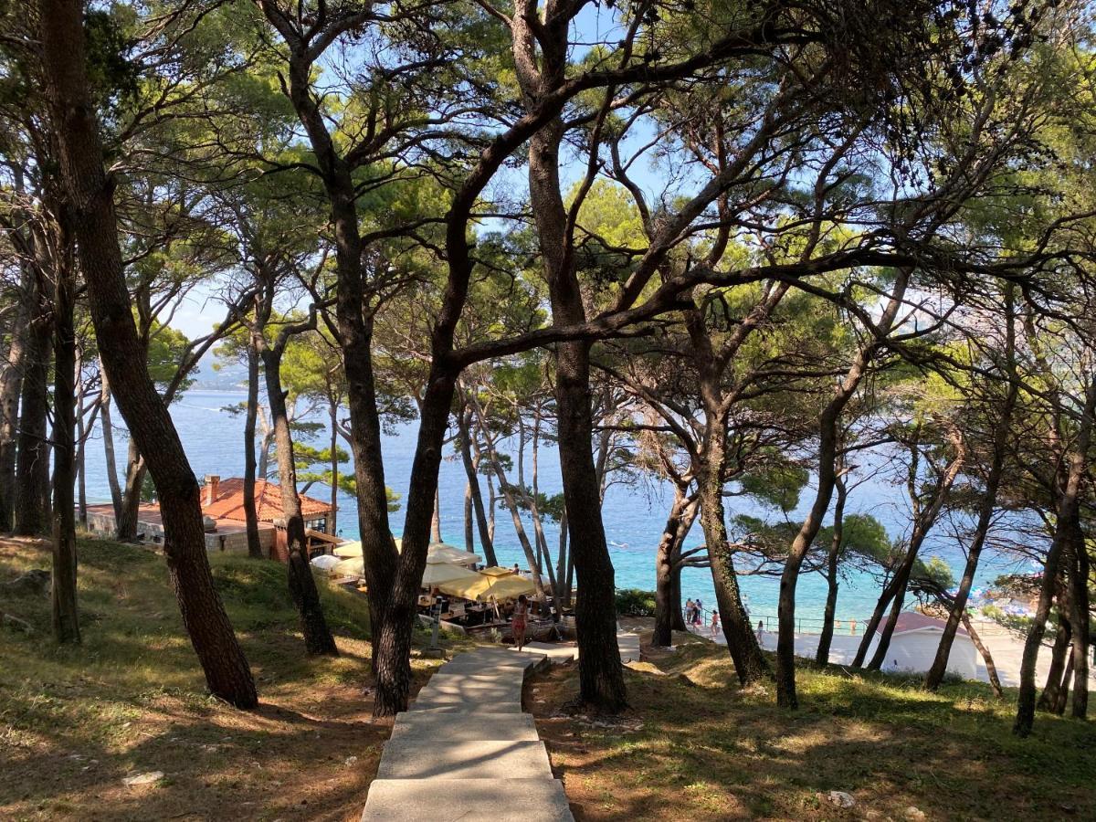 Villa Piscitelli Cavtat Dış mekan fotoğraf